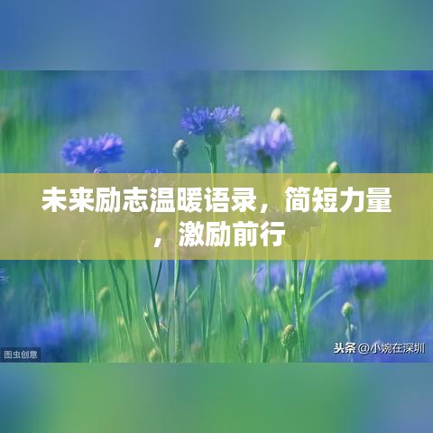 未來勵志溫暖語錄，簡短力量，激勵前行
