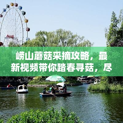 嶗山蘑菇采摘攻略，最新視頻帶你踏春尋菇，盡享自然盛宴！