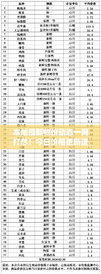 本地最新物價動態(tài)一網(wǎng)打盡！今日價格更新速遞