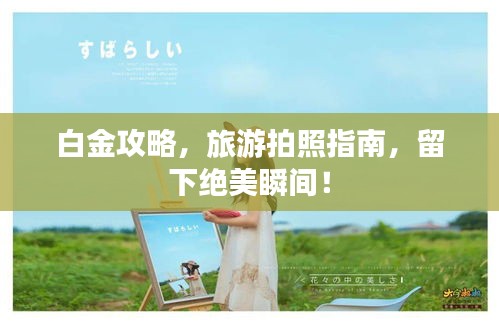 白金攻略，旅游拍照指南，留下絕美瞬間！