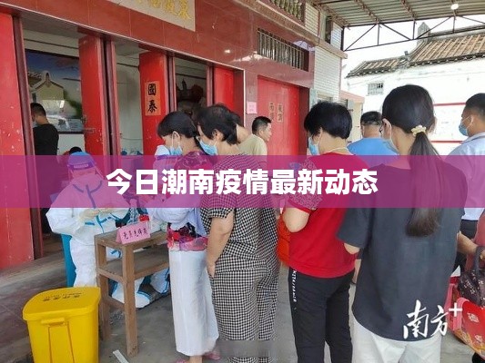 今日潮南疫情最新動態(tài)