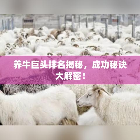 養(yǎng)牛巨頭排名揭秘，成功秘訣大解密！