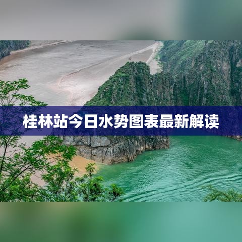 桂林站今日水勢圖表最新解讀