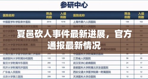 夏邑砍人事件最新進展，官方通報最新情況