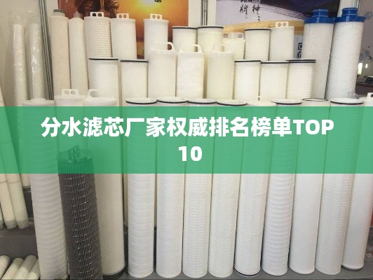 分水濾芯廠家權(quán)威排名榜單TOP 10