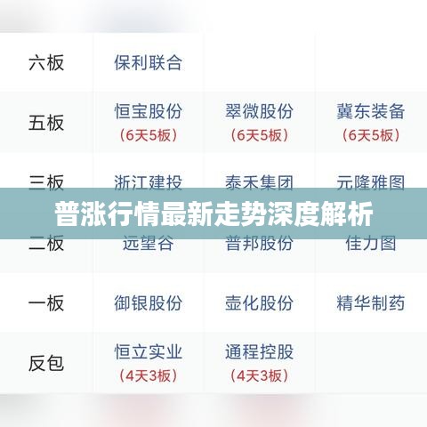 普漲行情最新走勢(shì)深度解析