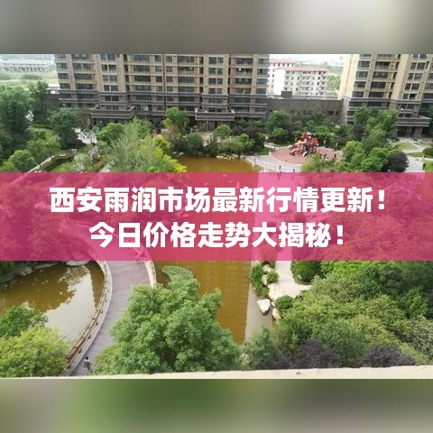 西安雨潤(rùn)市場(chǎng)最新行情更新！今日價(jià)格走勢(shì)大揭秘！