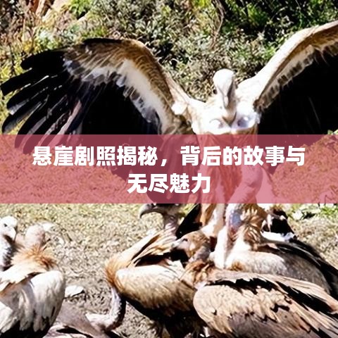 懸崖劇照揭秘，背后的故事與無盡魅力