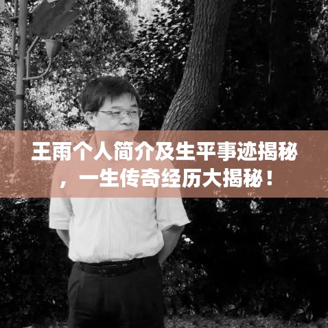 王雨個(gè)人簡介及生平事跡揭秘，一生傳奇經(jīng)歷大揭秘！