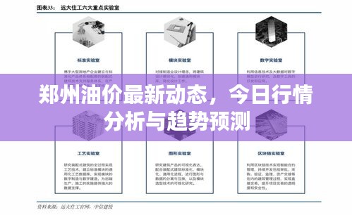鄭州油價最新動態(tài)，今日行情分析與趨勢預(yù)測