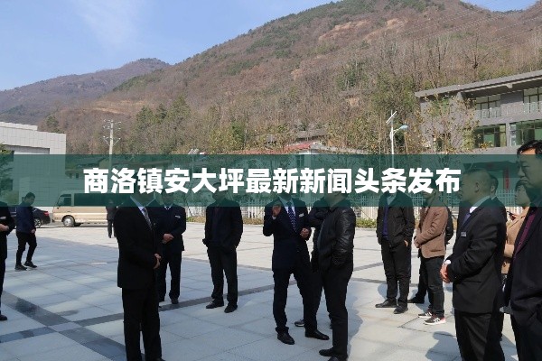 商洛鎮(zhèn)安大坪最新新聞?lì)^條發(fā)布