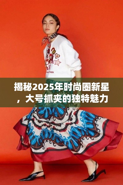 揭秘2025年時(shí)尚圈新星，大號(hào)抓夾的獨(dú)特魅力與流行趨勢(shì)解析