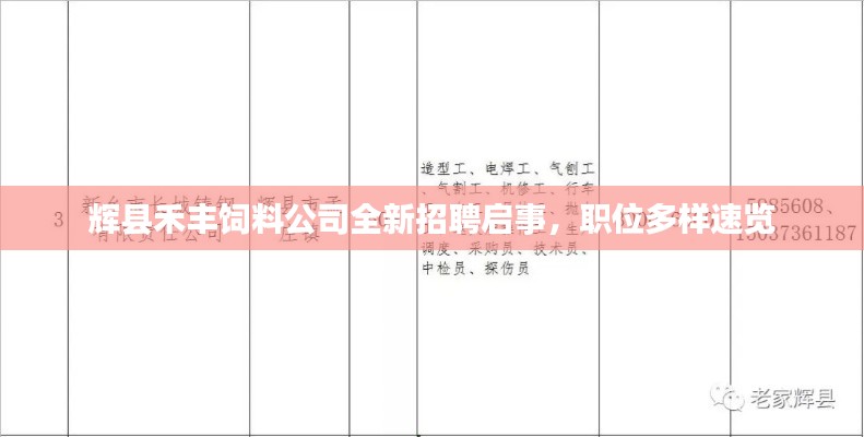 輝縣禾豐飼料公司全新招聘啟事，職位多樣速覽
