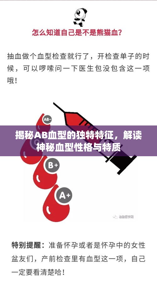 揭秘AB血型的獨(dú)特特征，解讀神秘血型性格與特質(zhì)