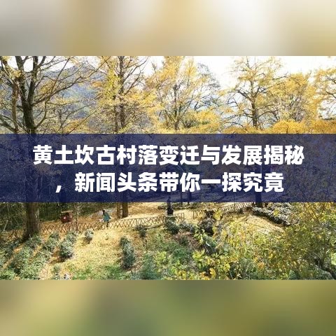 黃土坎古村落變遷與發(fā)展揭秘，新聞?lì)^條帶你一探究竟