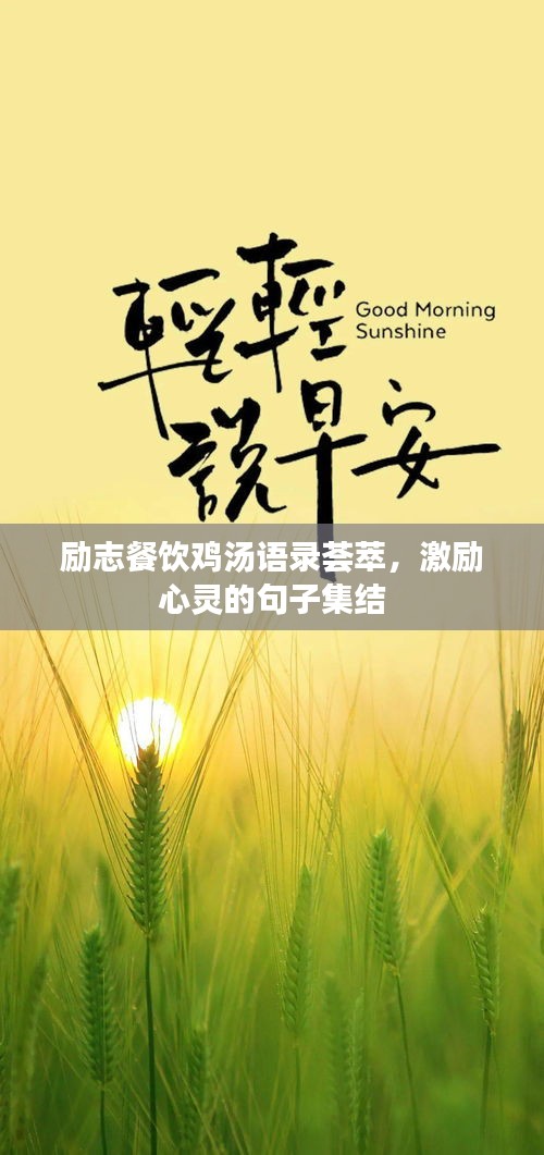勵志餐飲雞湯語錄薈萃，激勵心靈的句子集結(jié)