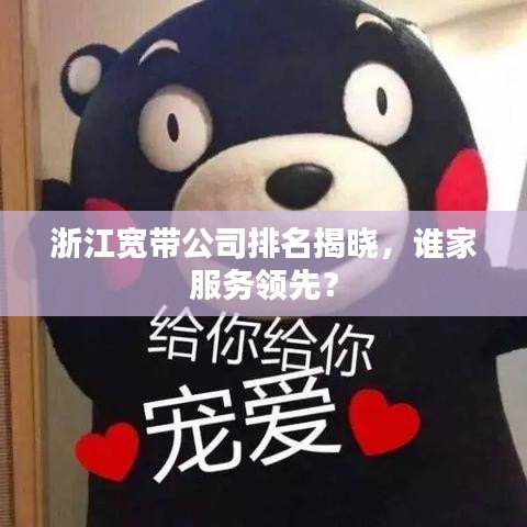 浙江寬帶公司排名揭曉，誰(shuí)家服務(wù)領(lǐng)先？