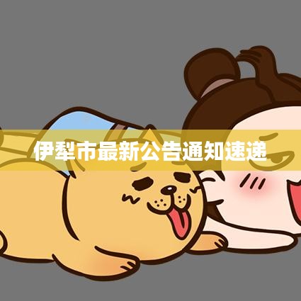 伊犁市最新公告通知速遞