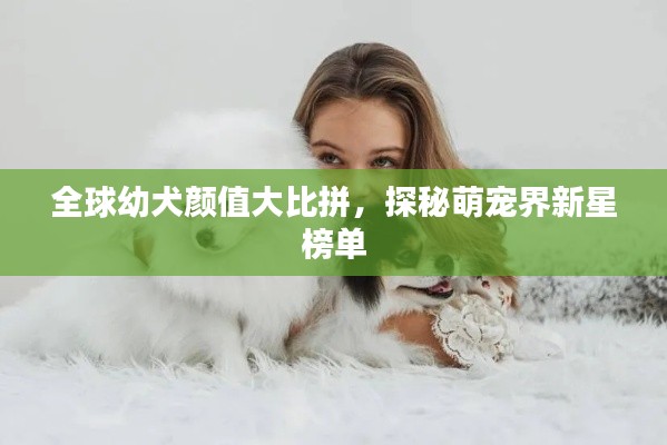 全球幼犬顏值大比拼，探秘萌寵界新星榜單