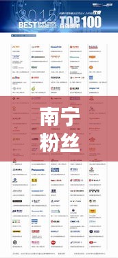 南寧粉絲公司排行榜揭曉，熱門粉絲品牌企業(yè)榜單出爐！