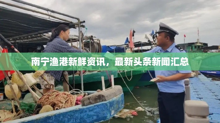 南寧漁港新鮮資訊，最新頭條新聞匯總