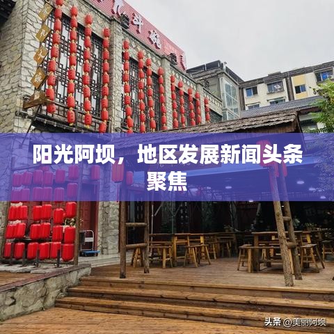 省吃細(xì)用 第2頁