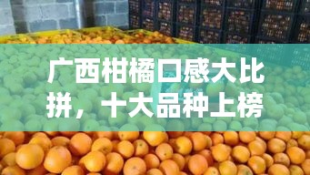 廣西柑橘口感大比拼，十大品種上榜，美味排名前十！