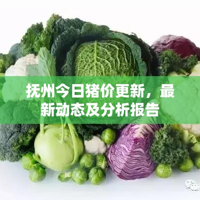 撫州今日豬價(jià)更新，最新動(dòng)態(tài)及分析報(bào)告