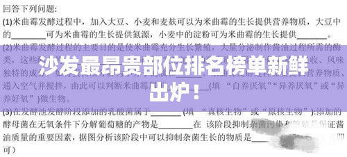 沙發(fā)最昂貴部位排名榜單新鮮出爐！