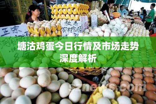 塘沽雞蛋今日行情及市場(chǎng)走勢(shì)深度解析