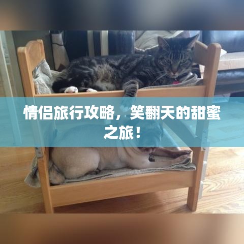 情侶旅行攻略，笑翻天的甜蜜之旅！