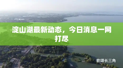 淀山湖最新動態(tài)，今日消息一網(wǎng)打盡