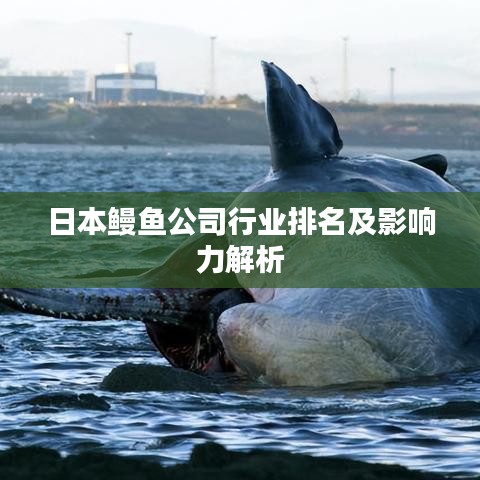 日本鰻魚公司行業(yè)排名及影響力解析