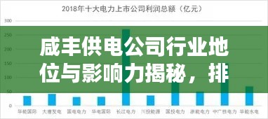 咸豐供電公司行業(yè)地位與影響力揭秘，排名及影響力不容小覷