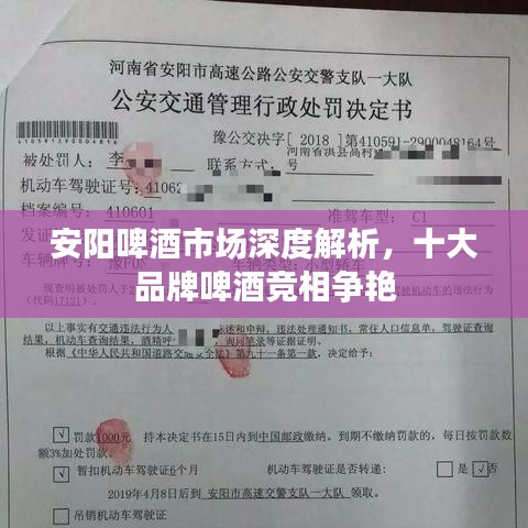 安陽啤酒市場深度解析，十大品牌啤酒競相爭艷