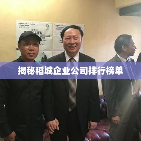 揭秘稻城企業(yè)公司排行榜單