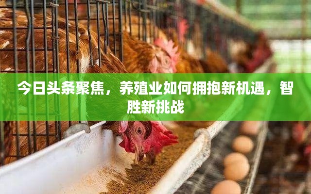 今日頭條聚焦，養(yǎng)殖業(yè)如何擁抱新機遇，智勝新挑戰(zhàn)