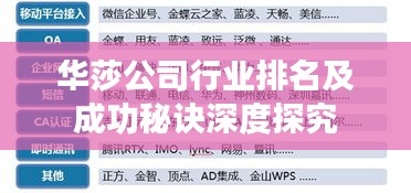 華莎公司行業(yè)排名及成功秘訣深度探究