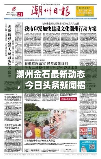 潮州金石最新動態(tài)，今日頭條新聞揭秘