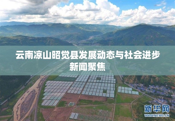 云南涼山昭覺縣發(fā)展動(dòng)態(tài)與社會(huì)進(jìn)步新聞聚焦