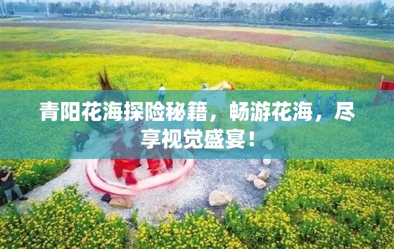青陽(yáng)花海探險(xiǎn)秘籍，暢游花海，盡享視覺(jué)盛宴！