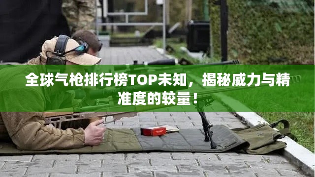 全球氣槍排行榜TOP未知，揭秘威力與精準(zhǔn)度的較量！