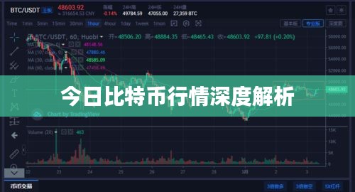 今日比特幣行情深度解析