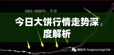今日大餅行情走勢深度解析