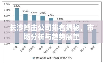 長(zhǎng)沙搏擊公司排名揭秘，市場(chǎng)分析與趨勢(shì)展望