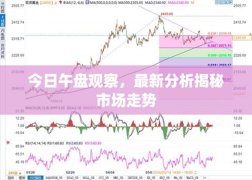 今日午盤觀察，最新分析揭秘市場走勢
