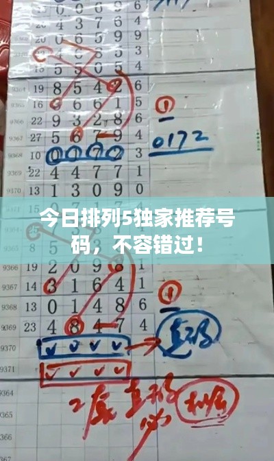 今日排列5獨家推薦號碼，不容錯過！