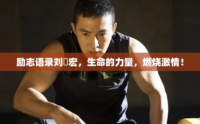 勵志語錄劉畊宏，生命的力量，燃燒激情！