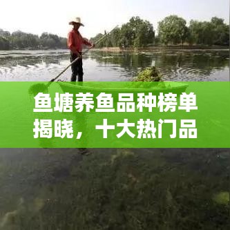 魚塘養(yǎng)魚品種榜單揭曉，十大熱門品種推薦