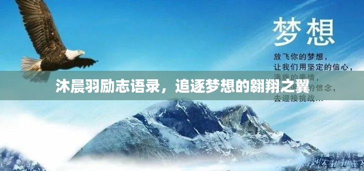 沐晨羽勵(lì)志語(yǔ)錄，追逐夢(mèng)想的翱翔之翼